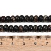 Natural Biotite Beads Strands G-L647-D05-4x6mm-5