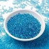 MIYUKI Round Rocailles Beads SEED-X0055-RR0148-2