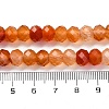 Natural Red Agate(Dyed & Heated) Beads Strands G-K380-A49-07-5