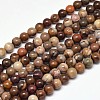 Natural Petrified Wood Round Bead Strands X-G-F266-08-4mm-1