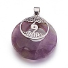 Natural Amethyst Pendants KK-F751-B17-2