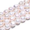 Natural Cultured Freshwater Pearl Beads Strands PEAR-N014-10A-3