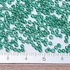 MIYUKI Round Rocailles Beads SEED-JP0008-RR0295-4