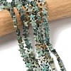 Natural African Turquoise(Jasper) Beads Strands G-F817-A14-01-1