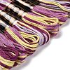 10 Skeins 6-Ply Polyester Embroidery Floss OCOR-K006-A76-2