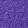 TOHO Round Seed Beads SEED-JPTR08-0168-2