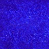 15/0 Transparent Czech Glass Seed Beads SEED-N004-004-07-4