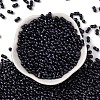Baking Paint Glass Seed Beads SEED-L011-12A-06-2