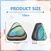 10Pcs Natural Abalone Shell/Paua Shell Beads SSHEL-BC0001-29-2