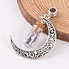 Moon Antique Silver Alloy European Dangle Charms PALLOY-JF00153-03-2