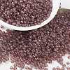 MIYUKI Round Rocailles Beads SEED-X0055-RR0303-4
