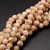 Natural Sea Shell Beads Strands SSHEL-K013-8mm-B-1