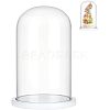 Glass Dome Cover AJEW-WH0001-95B-1