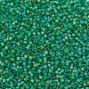 MIYUKI Delica Beads Small SEED-J020-DBS0858-3