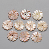 Natural Pink Shell Beads SSHEL-R044-01-1