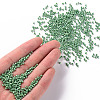(Repacking Service Available) Glass Seed Beads SEED-C021-4mm-127-4