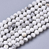 Natural Howlite Beads Strands G-R460-026-1