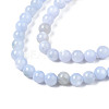 Natural Freshwater Shell Beads Strands X-BSHE-T009A-01F-3