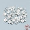 925 Sterling Silver Charms STER-T002-104S-3