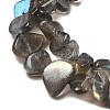 Natural Labradorite Beads Strands G-A279-A01-01-4