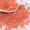 Baking Paint Glass Seed Beads SEED-S042-15B-29-1