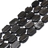 Natural Tektite Beads Strands G-K245-J16-01-1