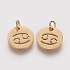 304 Stainless Steel Charms STAS-Q201-T445-4G-2