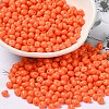 6/0 Opaque Baking Paint Glass Seed Beads SEED-M012-02A-05-1