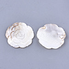 Carved Freshwater Shell Cabochons SHEL-T012-55-2