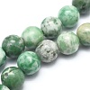 Natural Qinghai Jade Beads Strands G-I254-06C-1