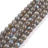 Grade AA Natural Gemstone Labradorite Round Beads Strands G-E251-33-8mm-4