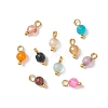 Natural Agate(Dyed & Heated) Faceted Round Charms PALLOY-JF04286-01-1