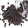 TOHO 6/0 Round Beads X-SEED-TR06-0085-1