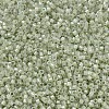 MIYUKI Delica Beads SEED-X0054-DB1765-3