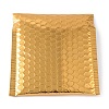 Polyethylene & Aluminum Laminated Films Package Bags OPC-K002-03C-1