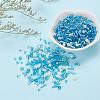 Glass Seed Beads X-SEED-S059-004-6