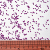 11/0 FGB Grade A Round Glass Seed Beads SEED-N001-A-1073-3