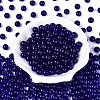 FGB Transparent Glass Seed Beads SEED-N013-01C-12-3