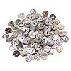 100Pcs Natural Paua Shell Buttons BUTT-GA0001-33-1