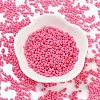 Baking Paint Glass Seed Beads X1-SEED-A033-05L-2