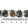 Natural Labradorite Beads Strands G-Z040-A03-01-5