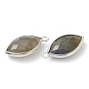 Natural Labradorite Pendants G-B009-01P-G-2