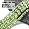 Eco-Friendly Dyed Glass Pearl Beads Strands HY-A008-6mm-RB005-2