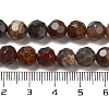 Natural Petrified Wood Beads Strands G-C150-B01-01-5