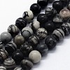 Natural Black Silk Stone/Netstone Beads Strands G-I199-11-20mm-1