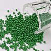 12/0 FGB Grade A Round Glass Seed Beads SEED-N001-A-1028-1
