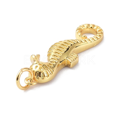Eco-Friendly Brass Pendants KK-C221-04G-1