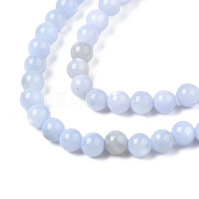 Natural Freshwater Shell Beads Strands BSHE-T009A-01F-1