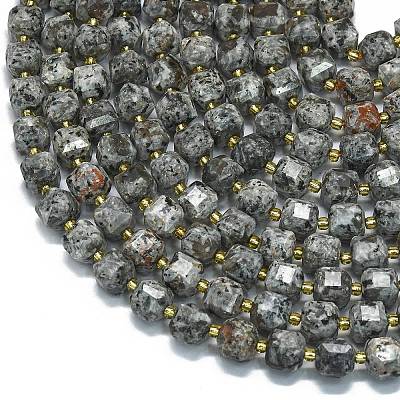 Natural Fluorescent Syenite Rock Beads Strands G-K389-A39-01-1