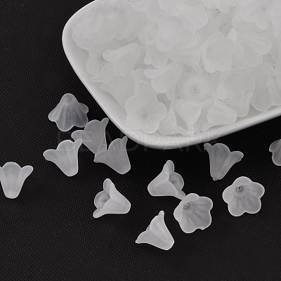 Frosted Acrylic Beads X-PL692-13-1